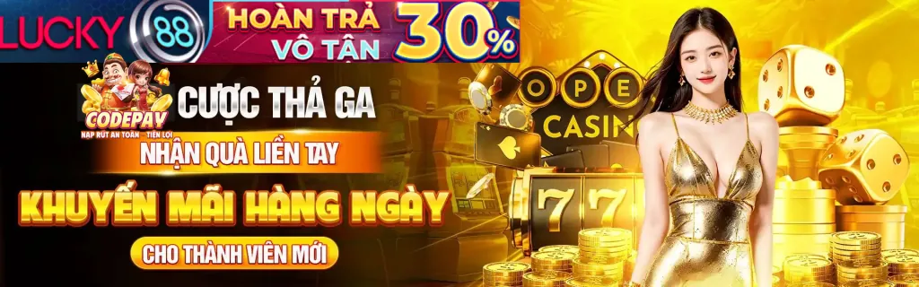 Đội ngũ hỗ trợ khách hàng 24/7